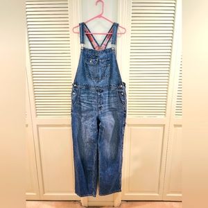 AE Drape Denim Overalls